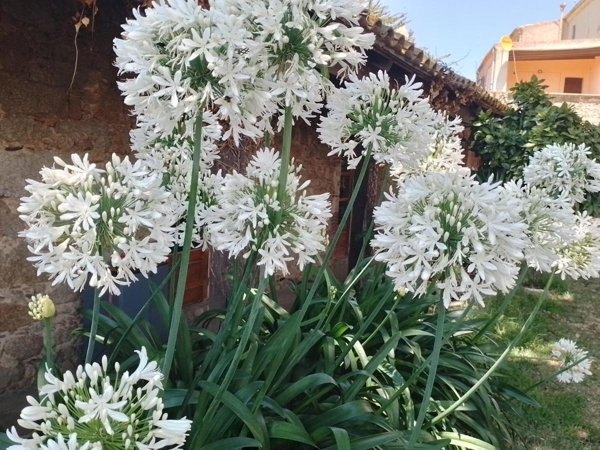 Casa Rural El Refugi Platja D'Aro 4 Romanyà de la Selva Exterior foto